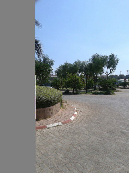 Чингиз Мамедов