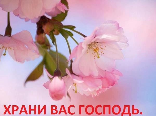 Николай Бондаренко Николай Бондаренко