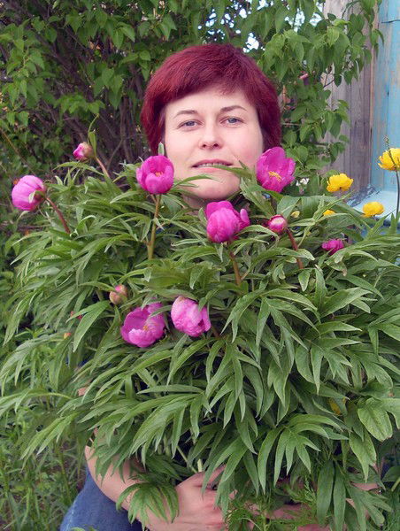 Елена Мокроусова