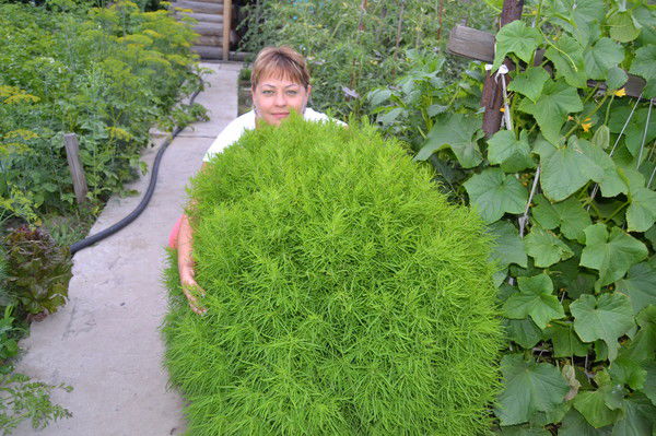 Людмила Калачикова