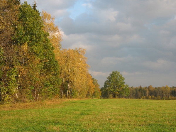 Александр Подгаецкий