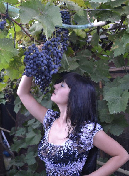 Не Твоя Одноклассница