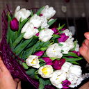 Елена Афанасьева