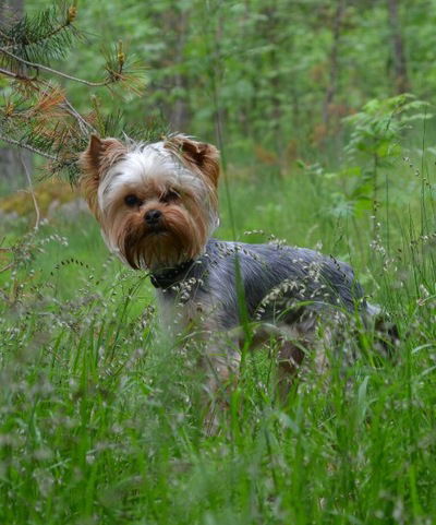 Татьяна Касьянова