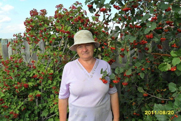 Нина Гуман(Шпакович)