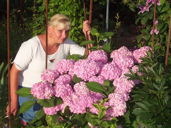 Марина Чистякова