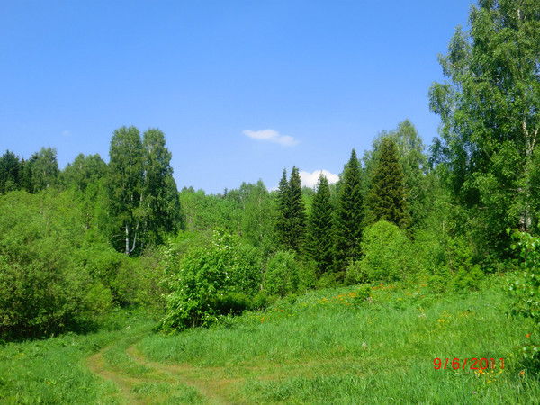 Иван Пученин