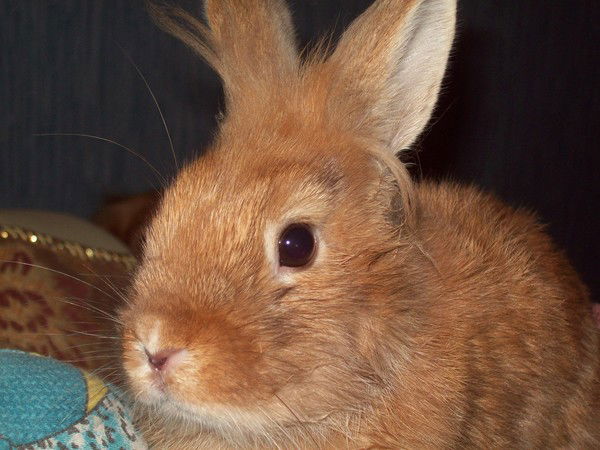 Гарик &&&&&&&&&&