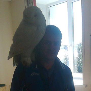 Евгений Терентьев