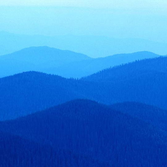 Кира Николаевна