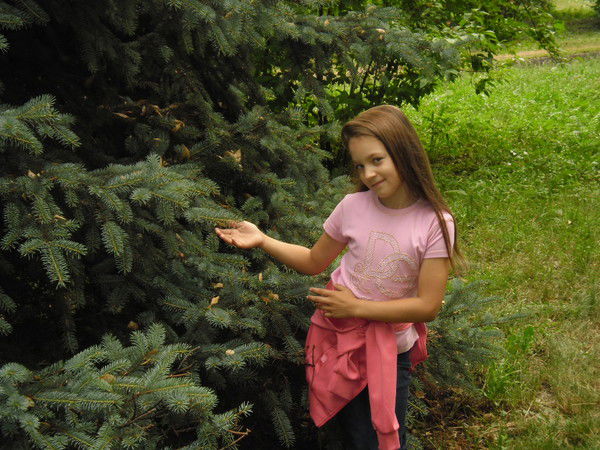 Вероника Семёнова