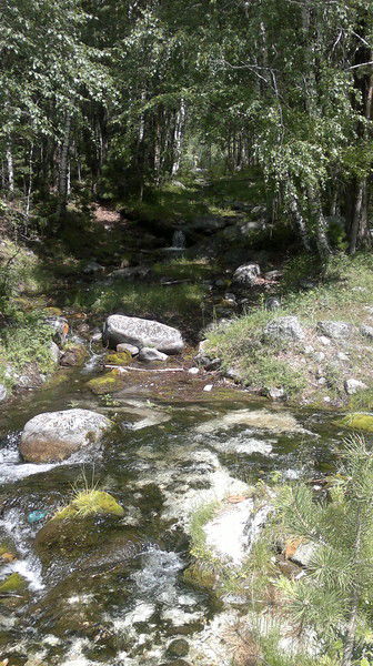 Леля Абакумова