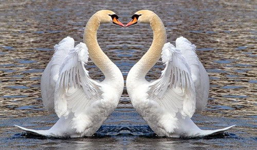 Татьяна Лагутина