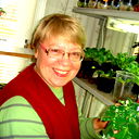 Алла Королева