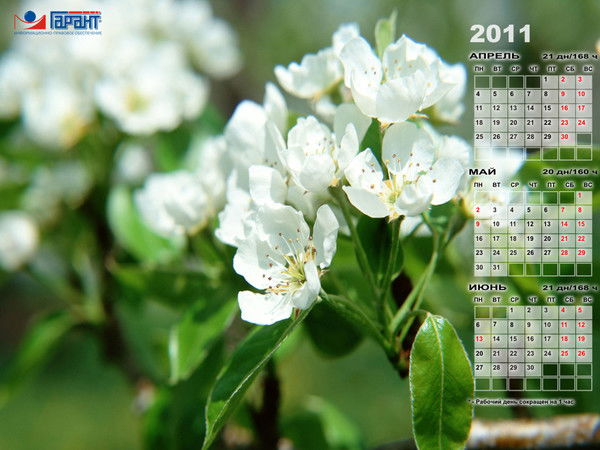 Алексей Шубин