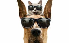 Дарья Меньшикова