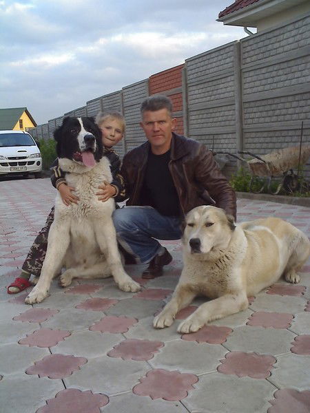 Николай Бирич