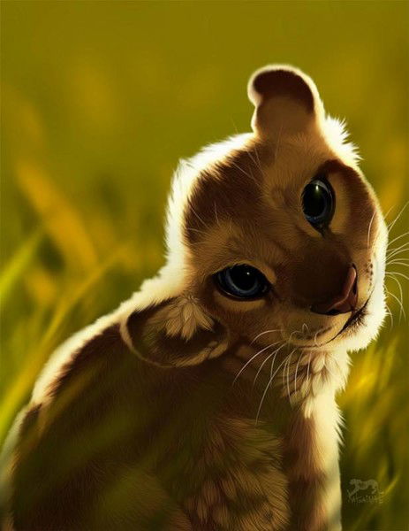 Екатерина Некит