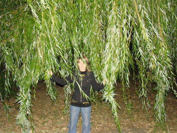 Надежда Архипкина