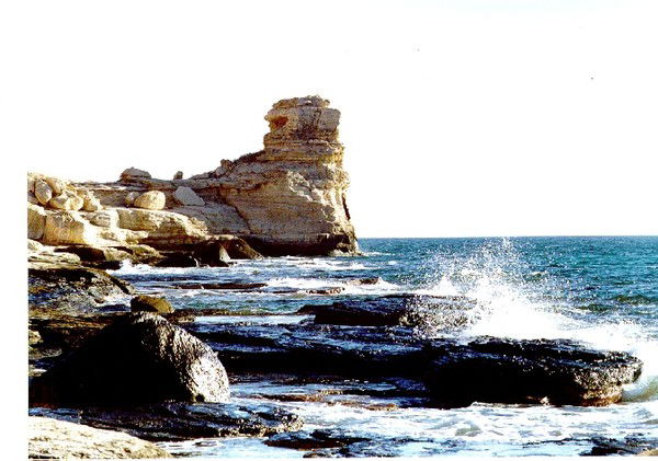 Дэмо Лаборатория