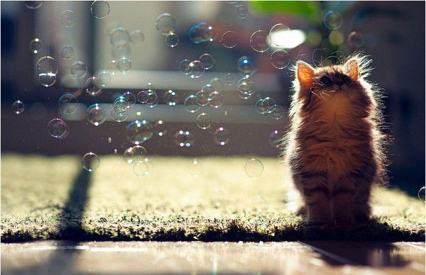 Шалыгина Даша