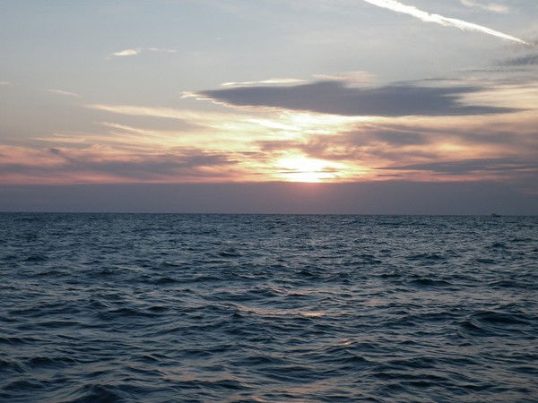 Татьяна Водяникова