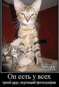 Саид Айнутдинов