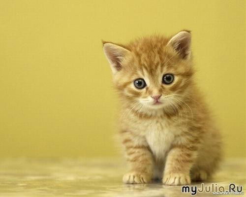 Татьяна Грабас