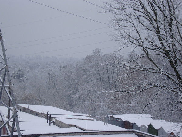 Светлана Копылова