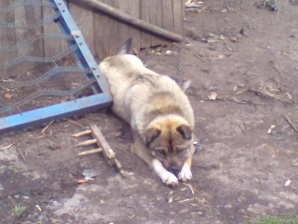 Наташа Пузырева