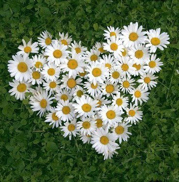 Ольга Ольгина