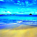 Георгий Шемякин