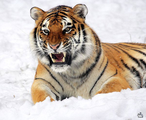 Аслиддин Джамолидинов