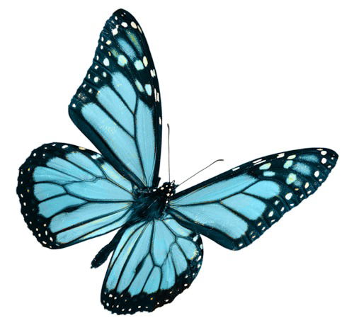 Ирина Шакировна