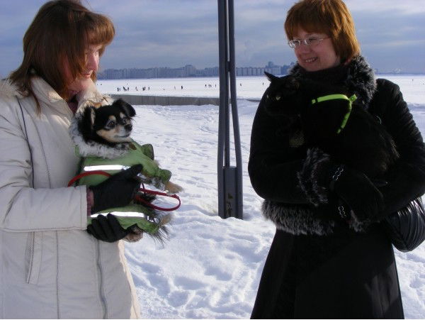 Светочка Бойцова