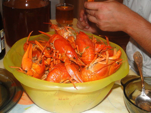 Татьяна Фрик