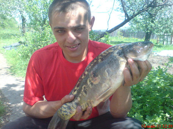 Николай Сочка