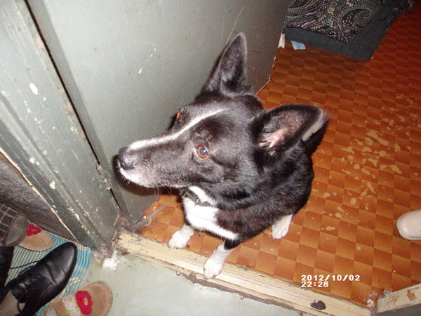 Александр Кузнецов