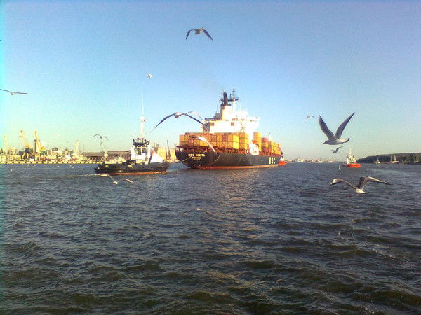 Игорь Зайцев