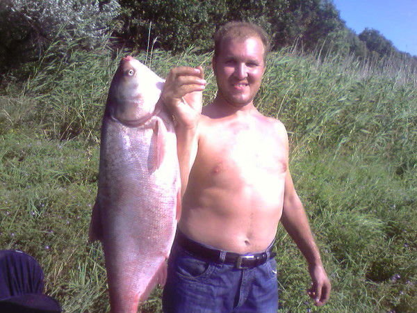 Сергей Лихачёв