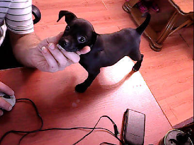 Александр Басов