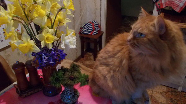 Елена Мартынова