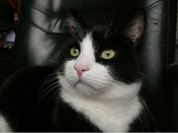 Виктор Овсянников