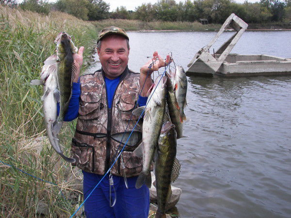 Алексей Иванищев