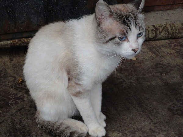 Татьяна Лукоянова