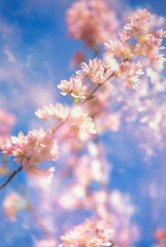 Ольга Папышкина