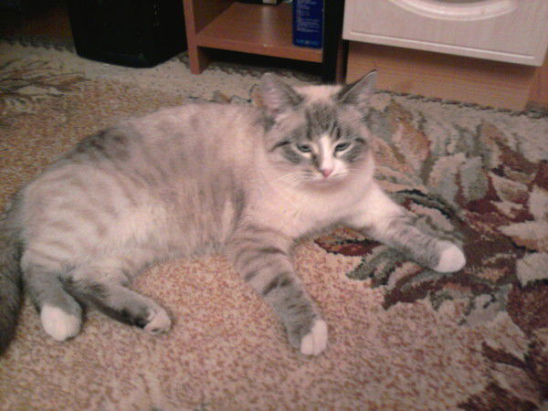 Марина Богородская