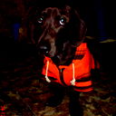 Василий Пупкин