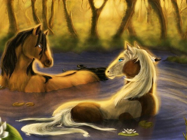 Анна Ширшаева