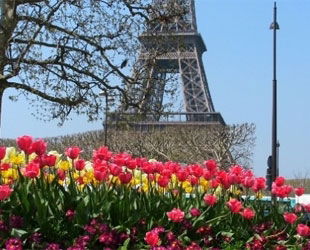 Елена Пальмова